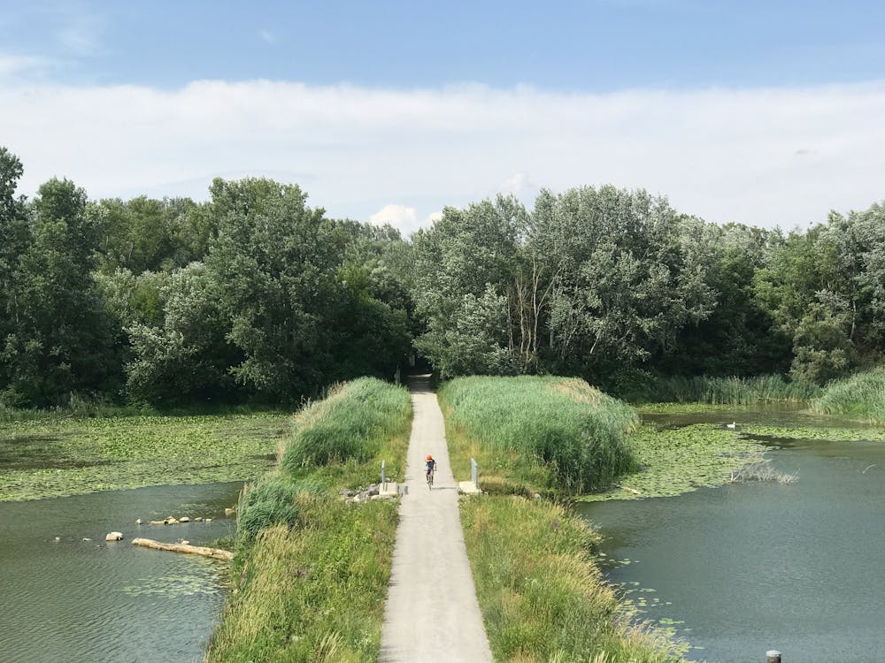 Cycliste qui roule sur un chemin au dessus d'un lac, près de Bordeaux