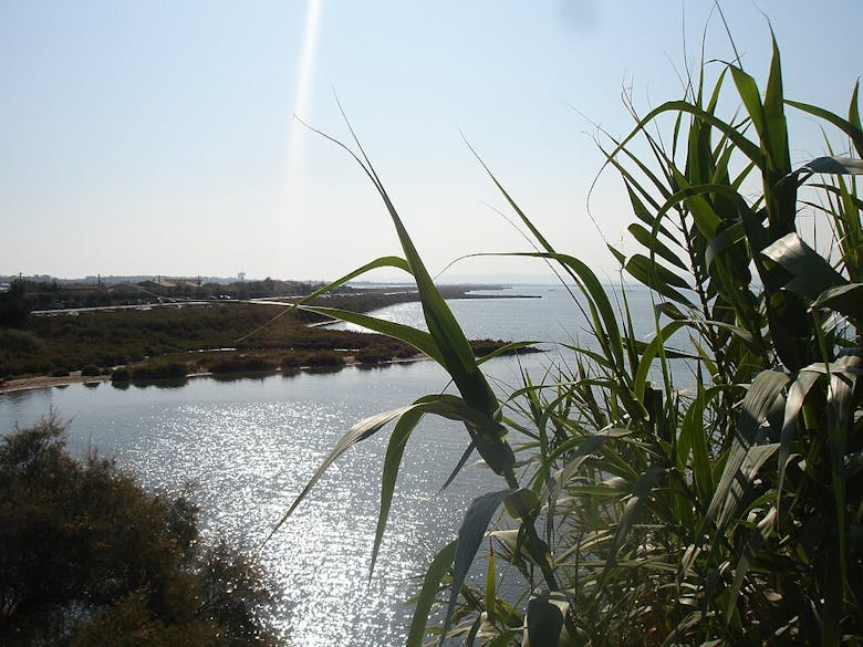 Vue de l'étang de l'Or à Carnon-Mauguio