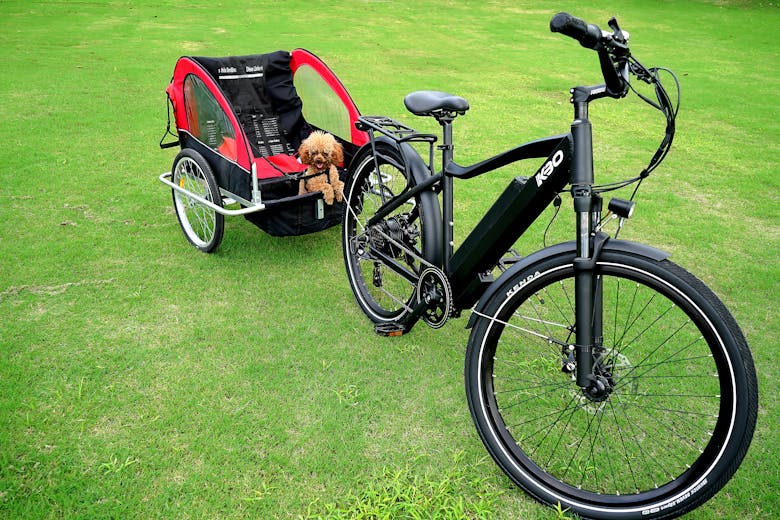 Un vélo et sa remorque, avec un chien à l'intérieur