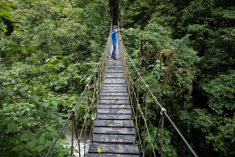 Un homme sur un pont dans une forêt tropicale