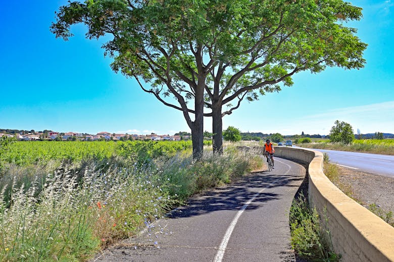 Un cycliste qui fait du vélo en pleine nature, entre Cournonsec et Lavérune