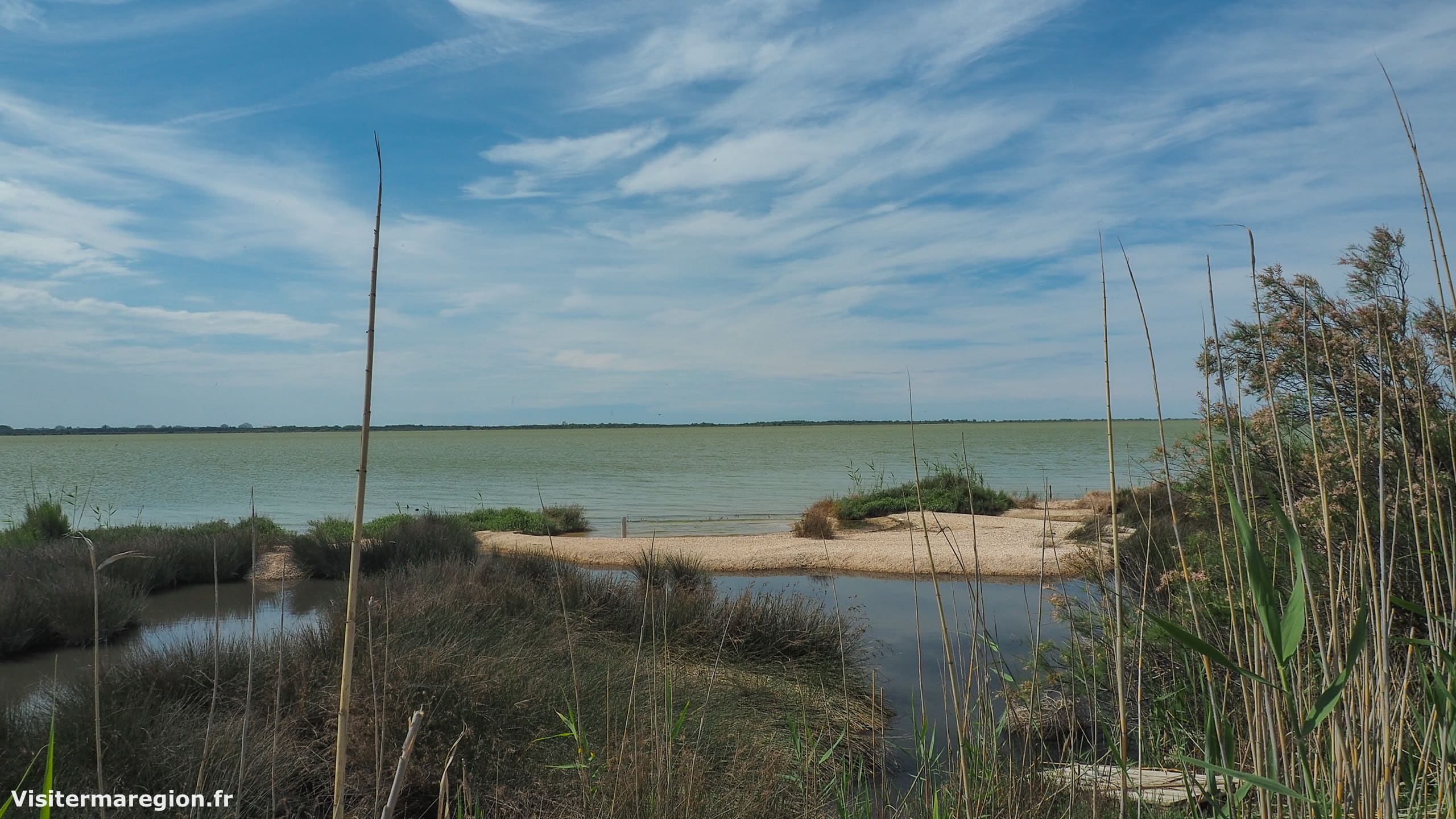 L'étang d'Or, près de Montpellier