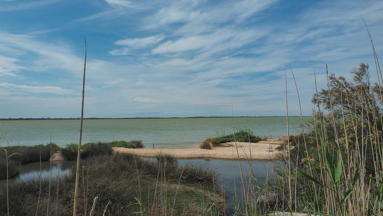L'étang d'Or, près de Montpellier