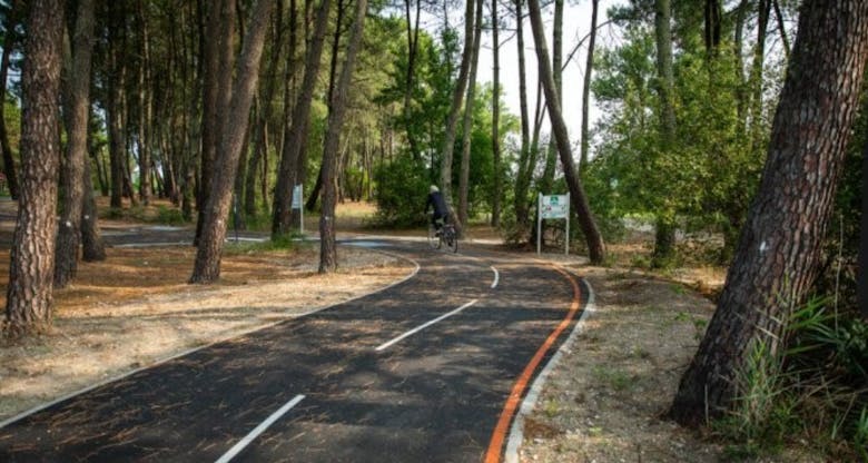 Tronçon de la ligne 3 du ReVE - Charlotte Barbier - Bordeaux Métropole