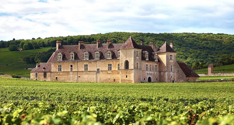 Le château de Clos-Vougeot à Dijon