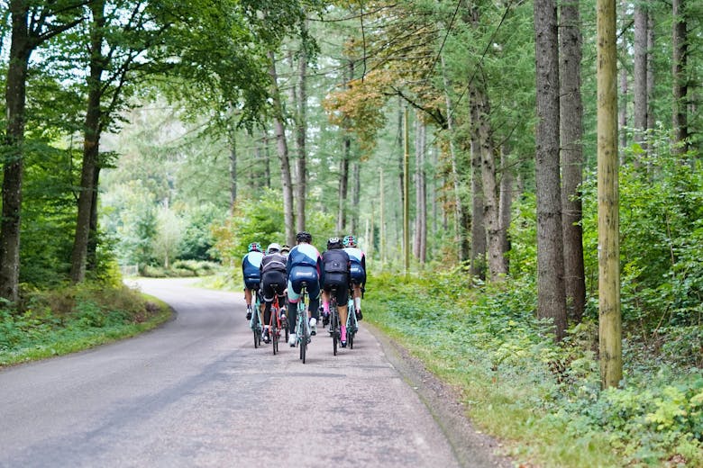 Un groupe de cyclistes en forêt