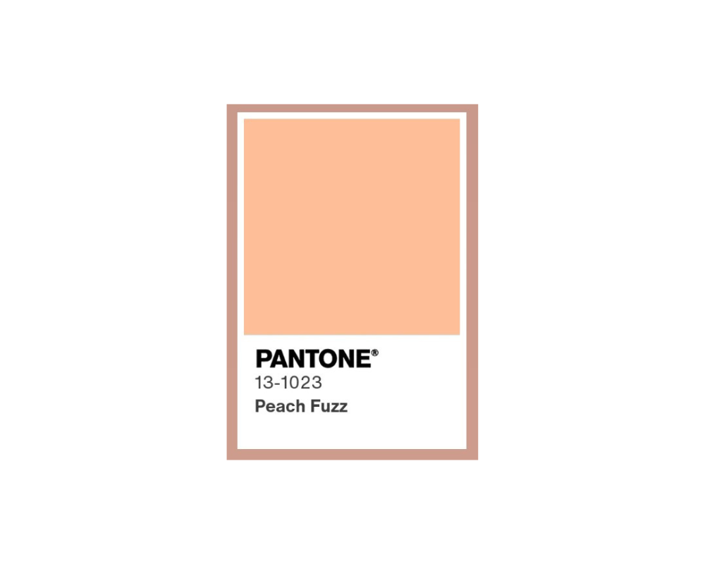 Pantone 2024 - Peach Fuzz
