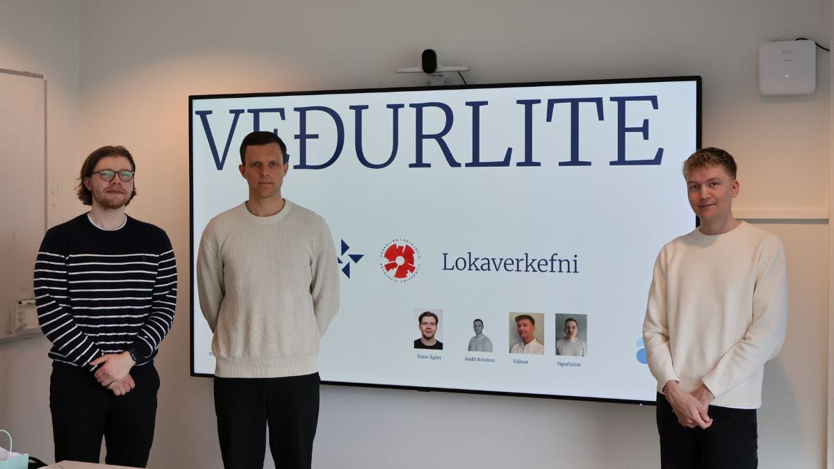 Einar, Andri, Valmar og Sigurbjörn unnu að vefnum Veðurlite.