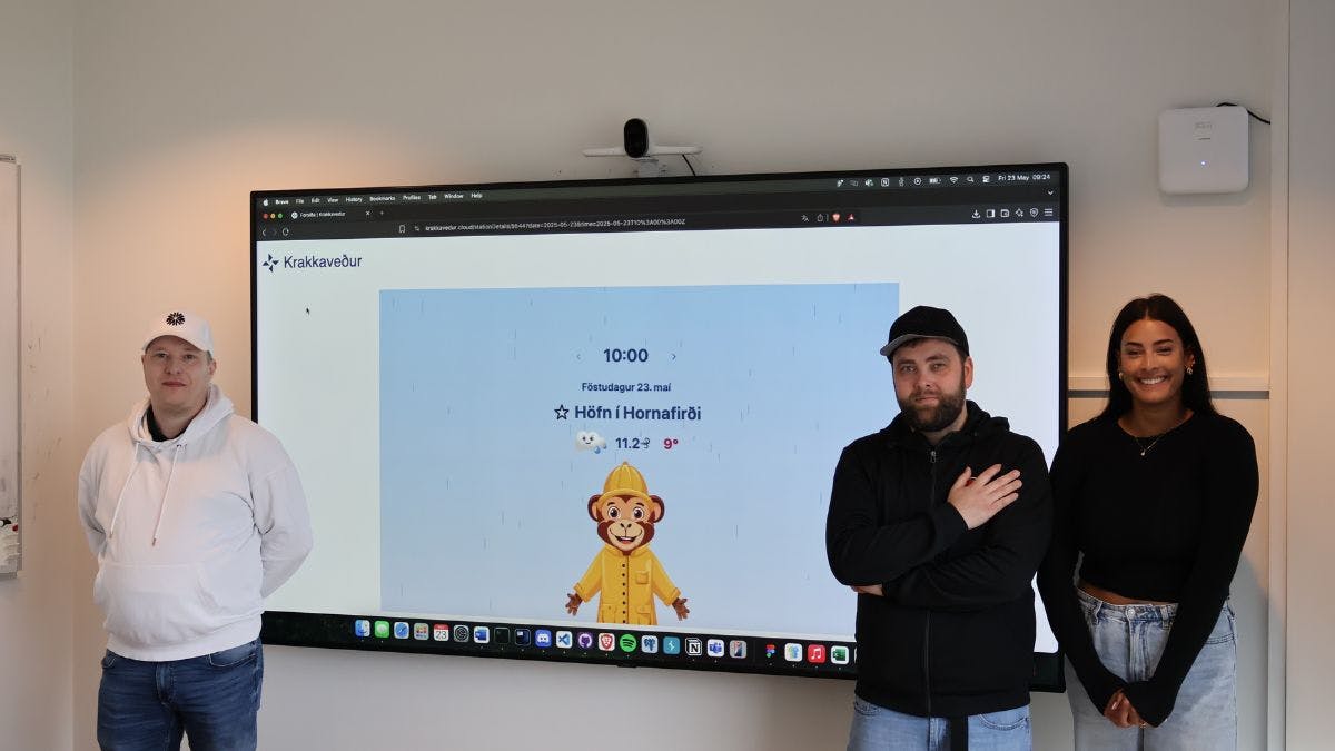 Gissur, Kristinn, Hallgrímur og Guðlaug unnu að vefnum Krakkaveður.