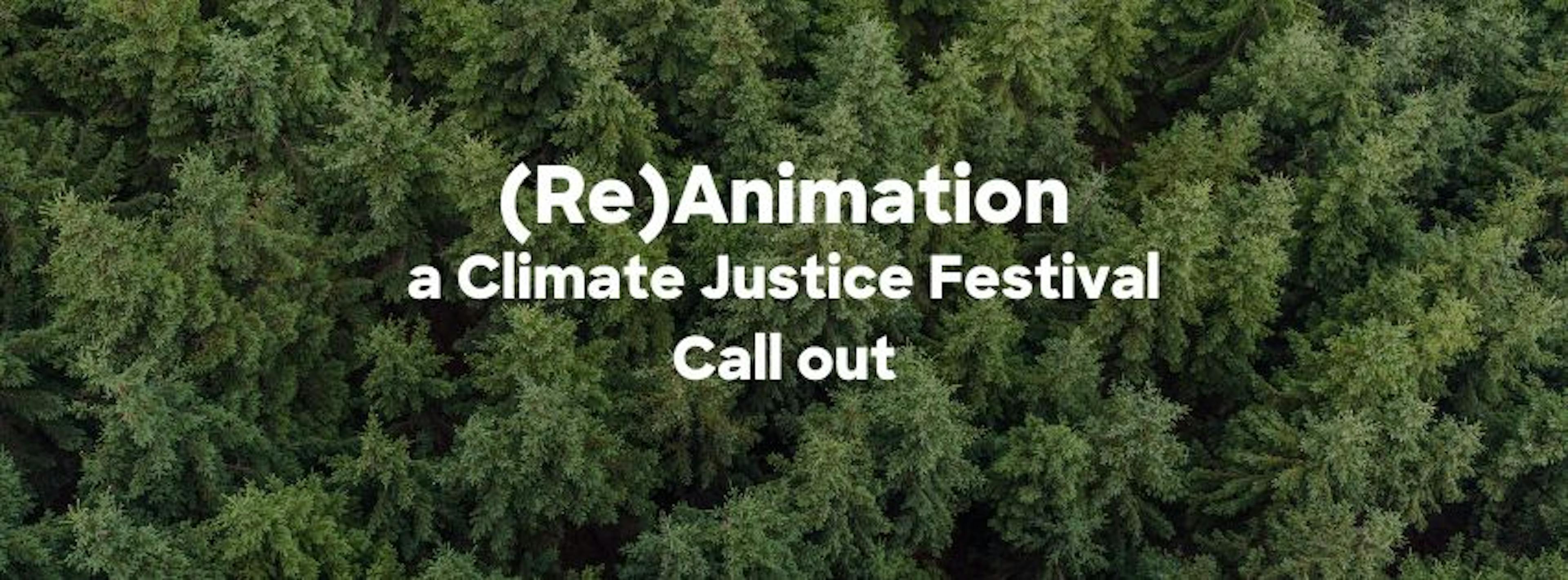 Top view of pine forest - Re Animation A Climate Justice Festival Call Out over the top