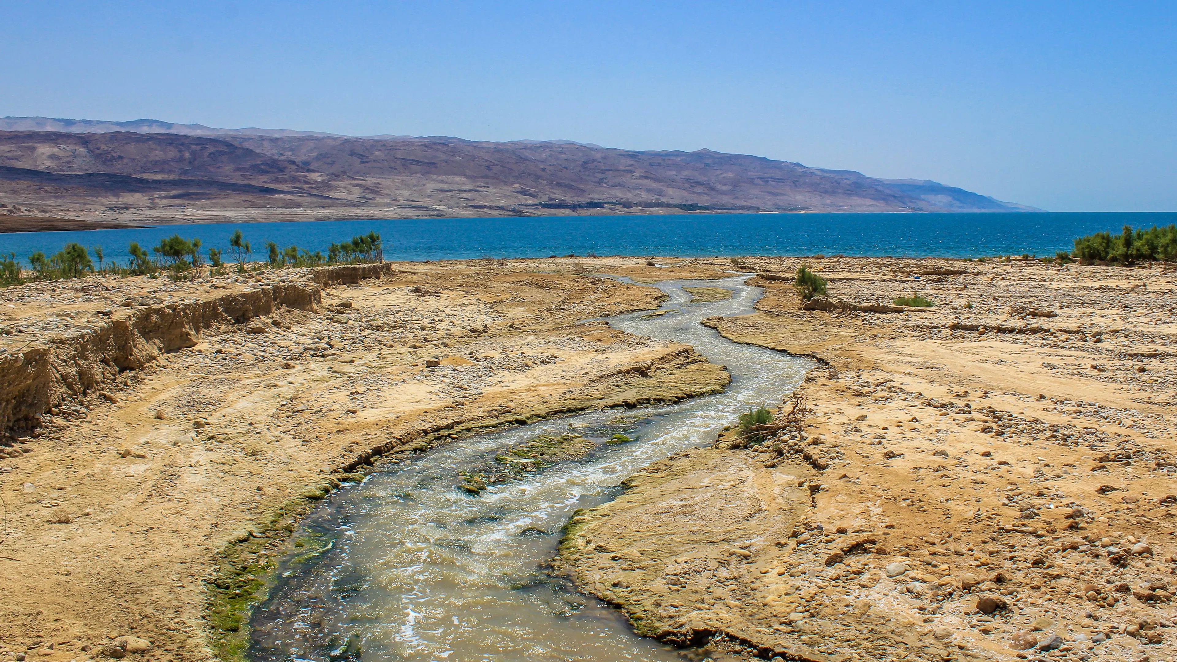 ECHOES OF THE JORDAN