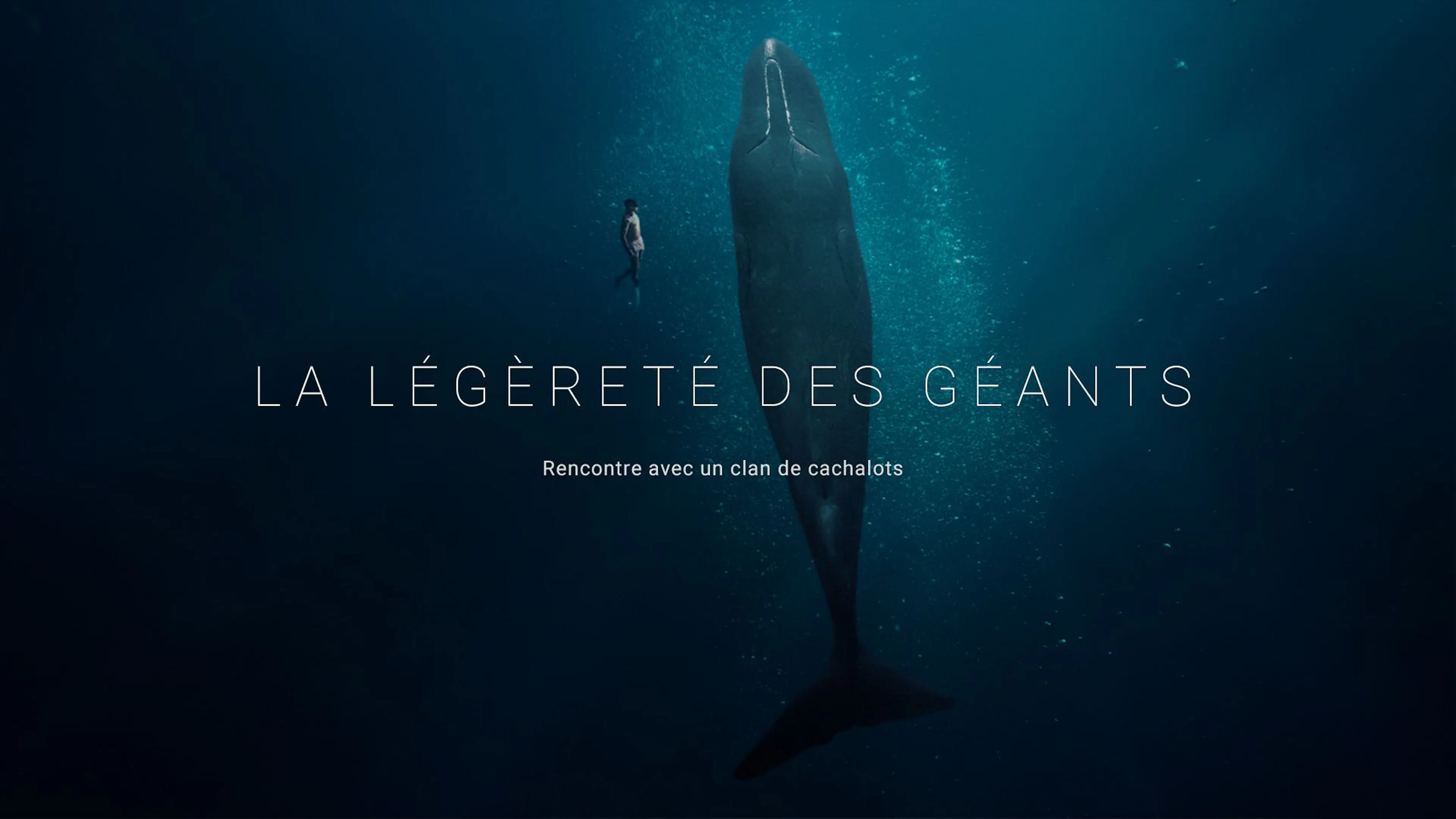 The lightness of giants