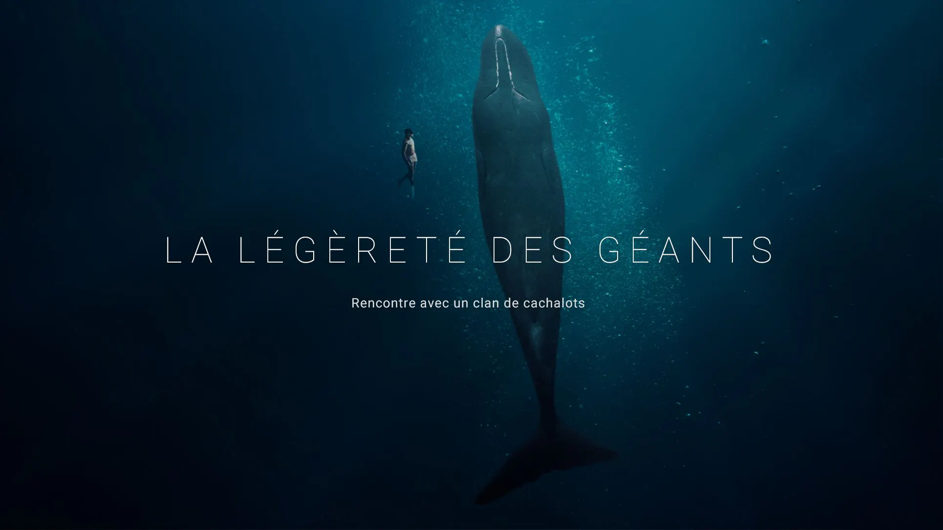 The lightness of giants