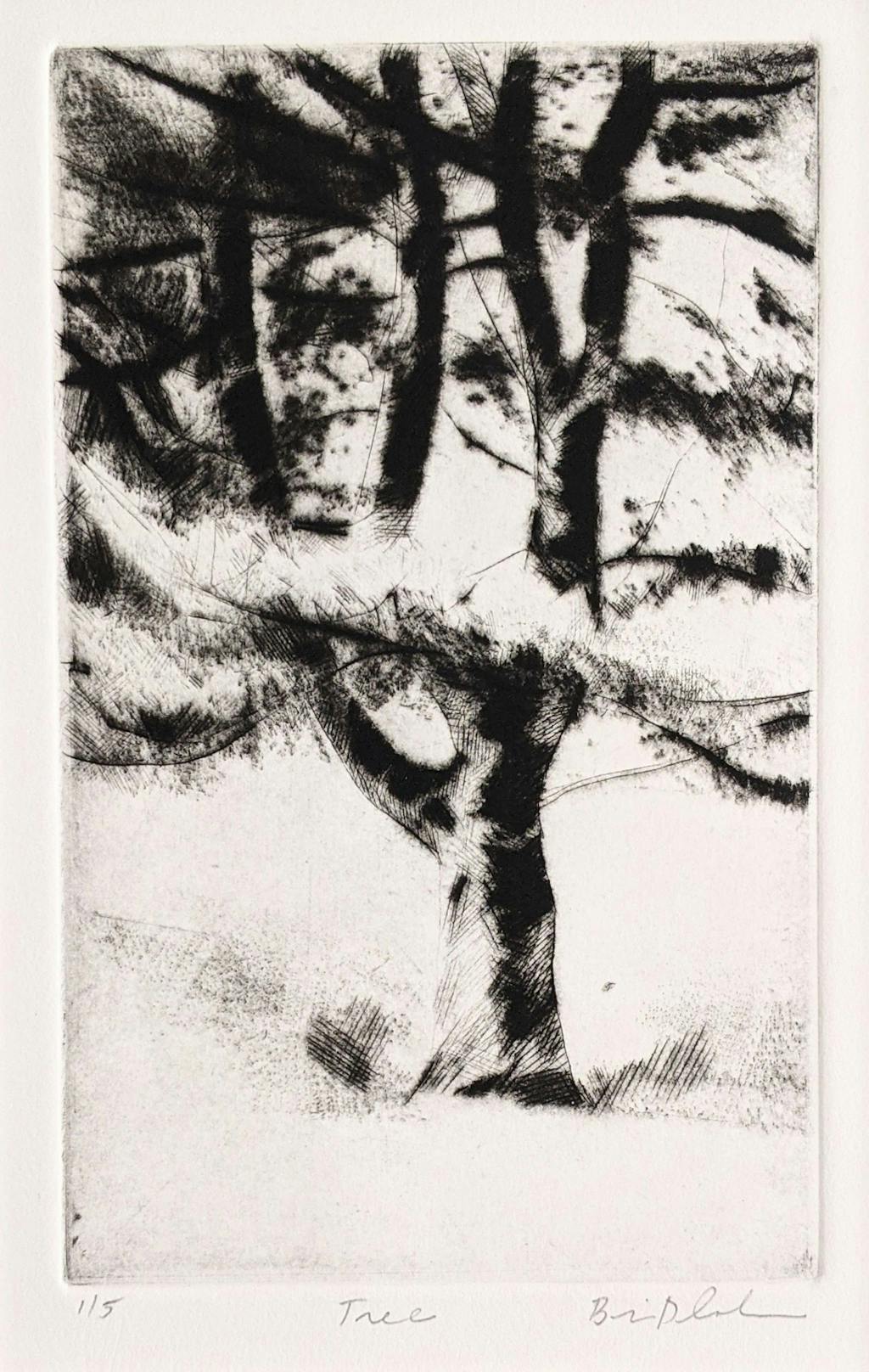 Brian Cohen's drypoint etching titled "Tree" develops an original idea of what a major maker of leaves, a tree, perhaps an oak, perhaps a maple, can be about: an endless variety of lights and darks, marks and patterns, gestured lines and rich graphic evidence of growth and development.
