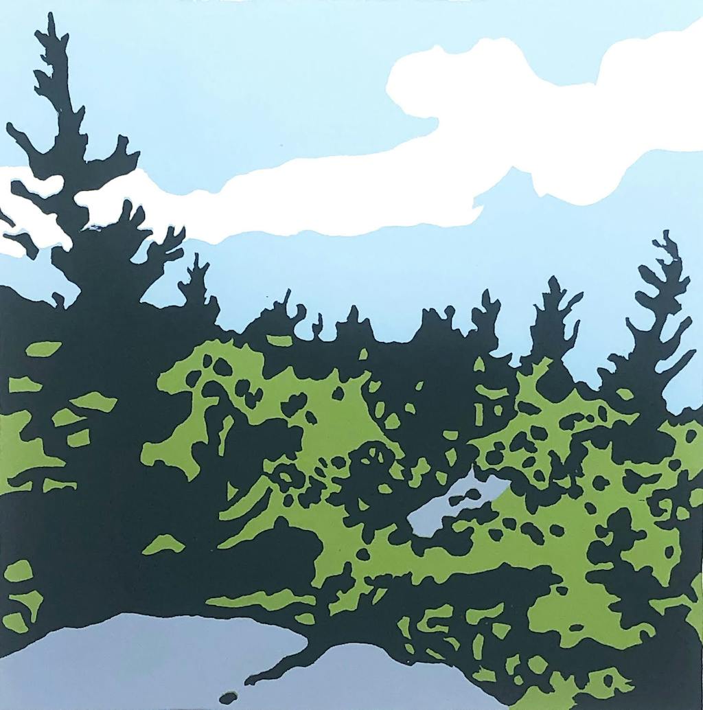 Bill Mitchell's "Black Cap Mountain" gives a strong feeling for what's its like for those leaf-makers struggling to survive up on NH's mountain tops. Wind-swept and tenacious, those spruces and stunted birch trees, they keep trying.