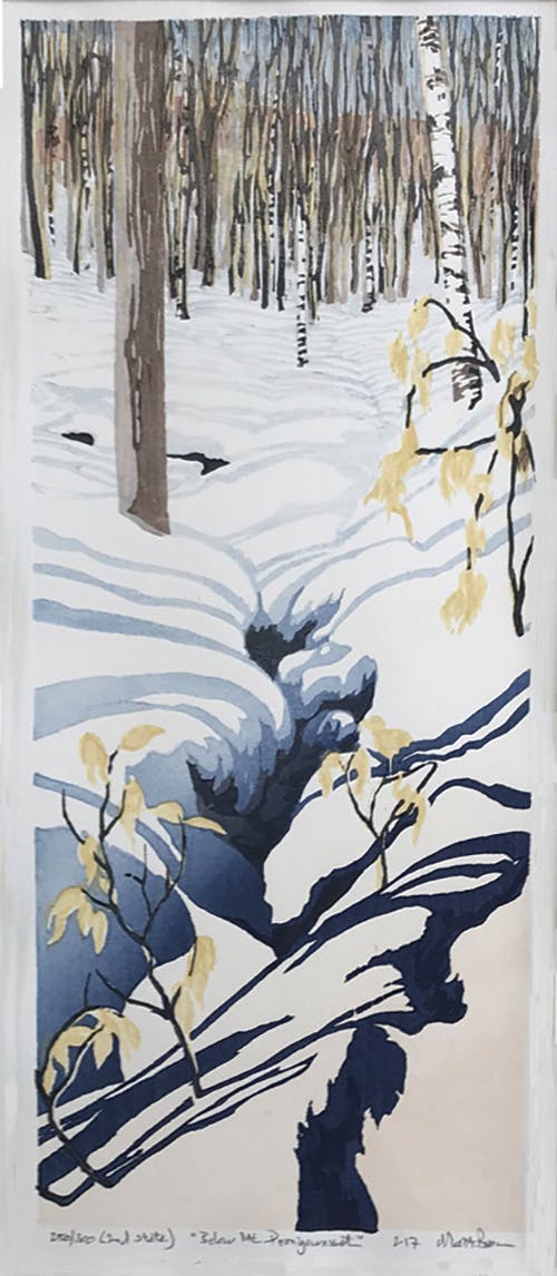 Matt Brown's "Below Mt. Pemigewassett" offers a snippet impression of the tenacious and patient quality leaves sometime pursue, marcescent beech leaves that cling when most of their fellow leaves have long before let go.