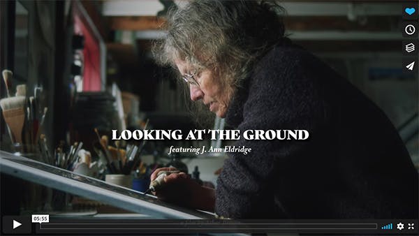 Release of TNLG Video: “Looking at the Ground"
