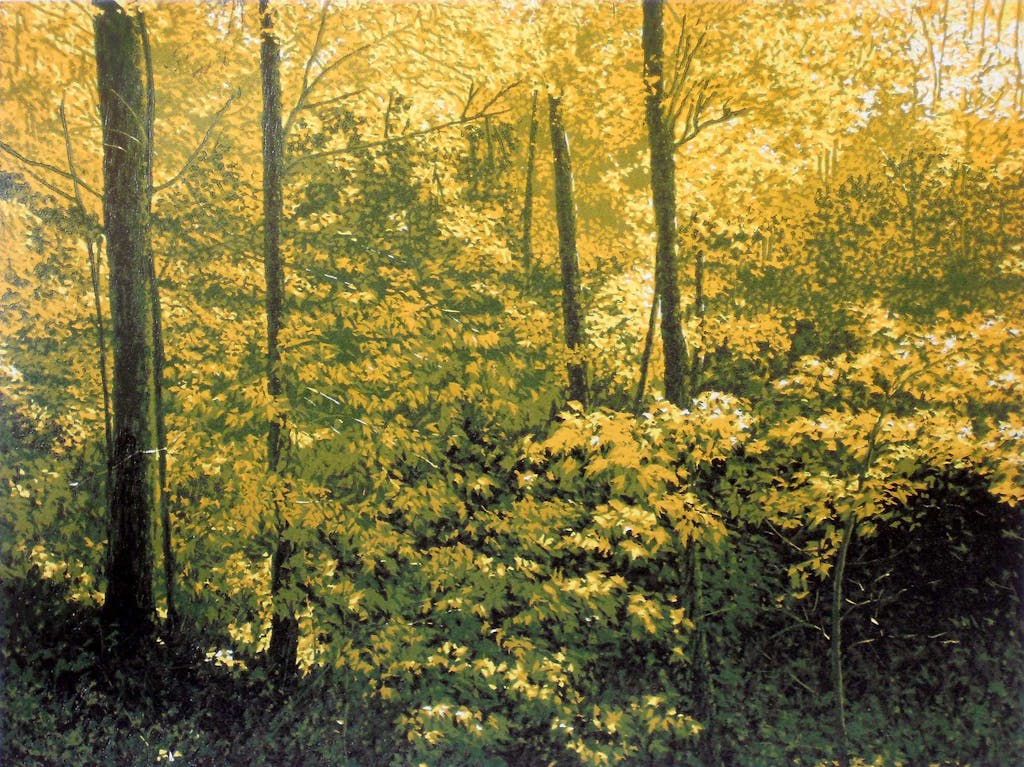 William Hays' linocut print "Abundant Earth" is all about it, a focused statement sharing a recreated idea of the endless variety that our leafy forests offer up.