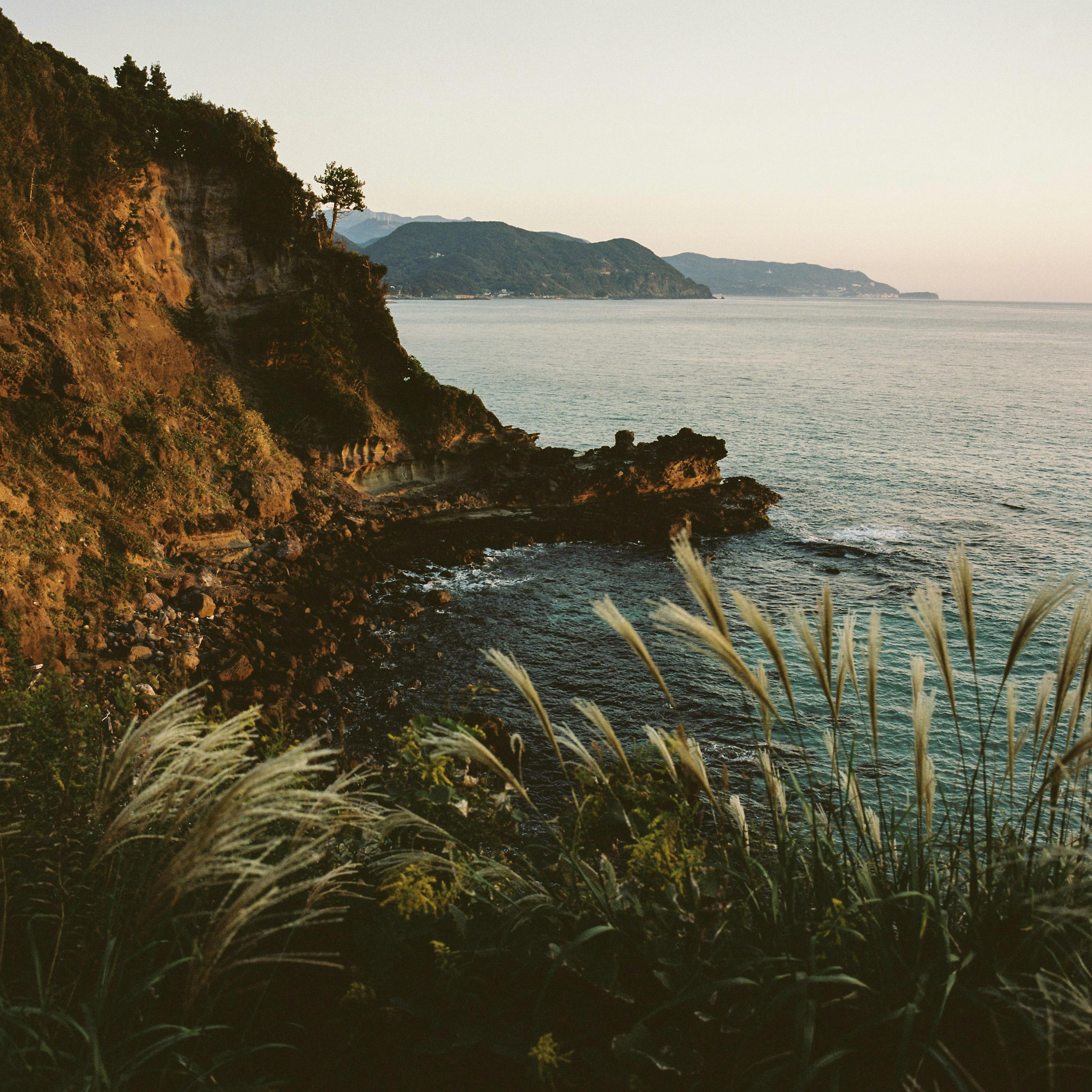 Mamiya 6 on Portra 400