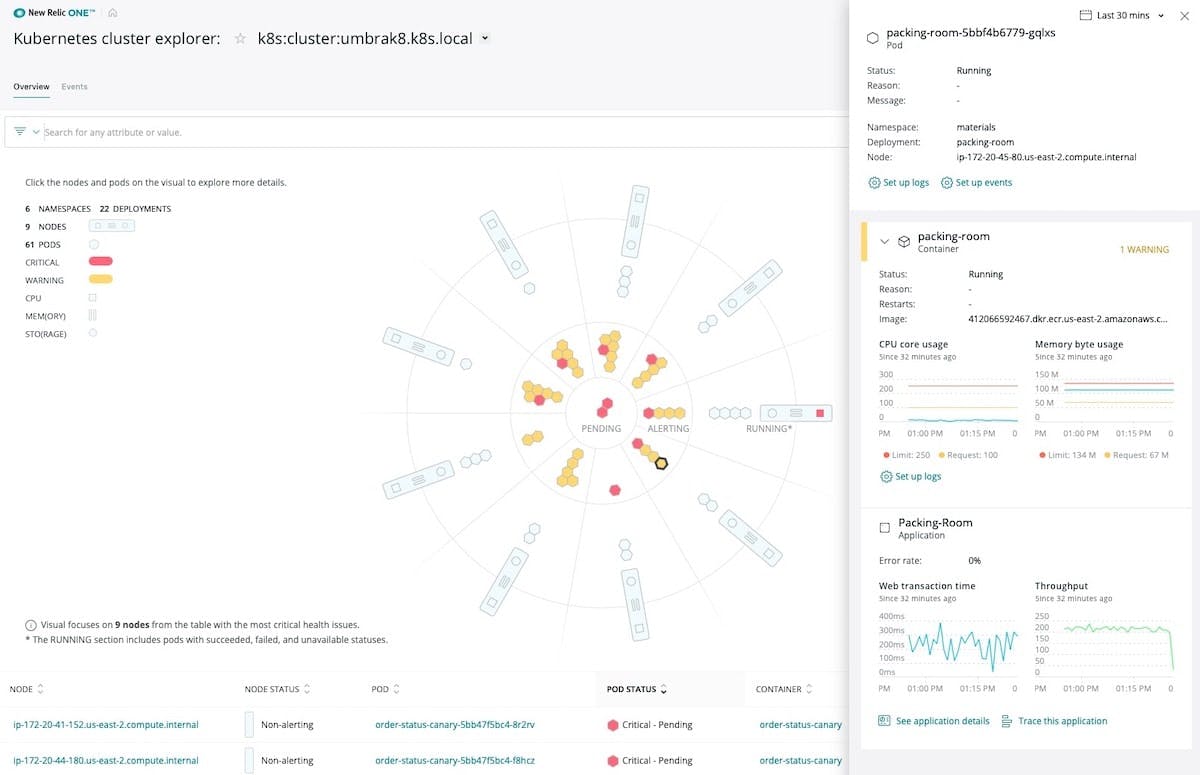 Kubernetes cluster explorer displaying KPIs for a specific pod.