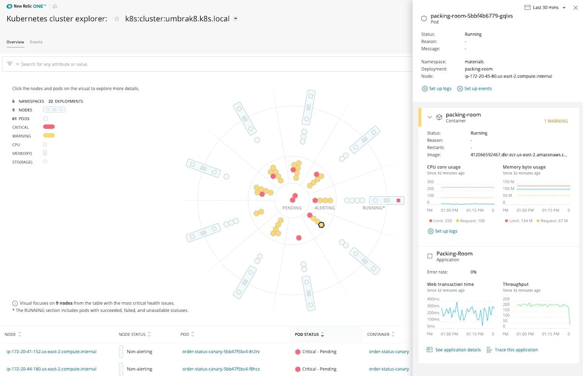 Figure 12. New Relic Kubernetes cluster explorer displaying KPIs for a specific pod.