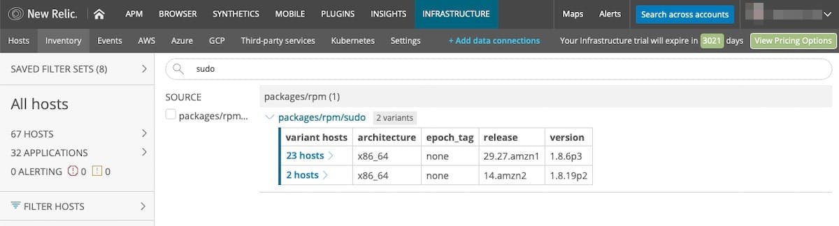 Figure 6. New Relic Infrastructure showing two hosts that contain a version of a package that includes a security threat.