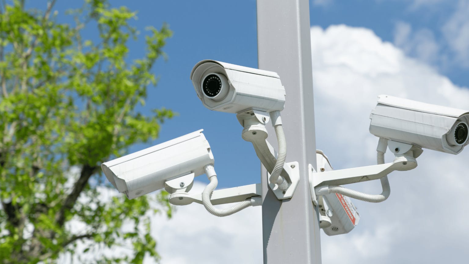 Vumacam Cameras