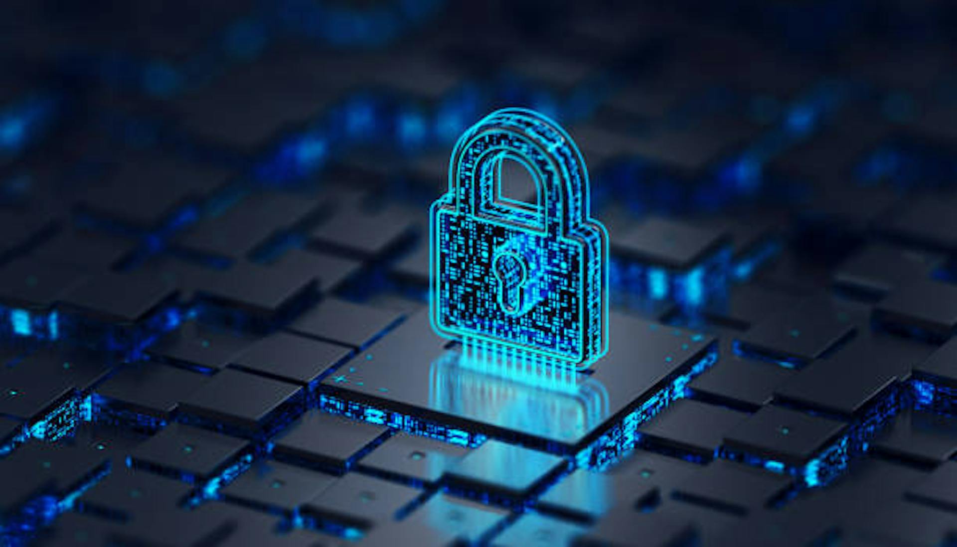 Privacy & Policy