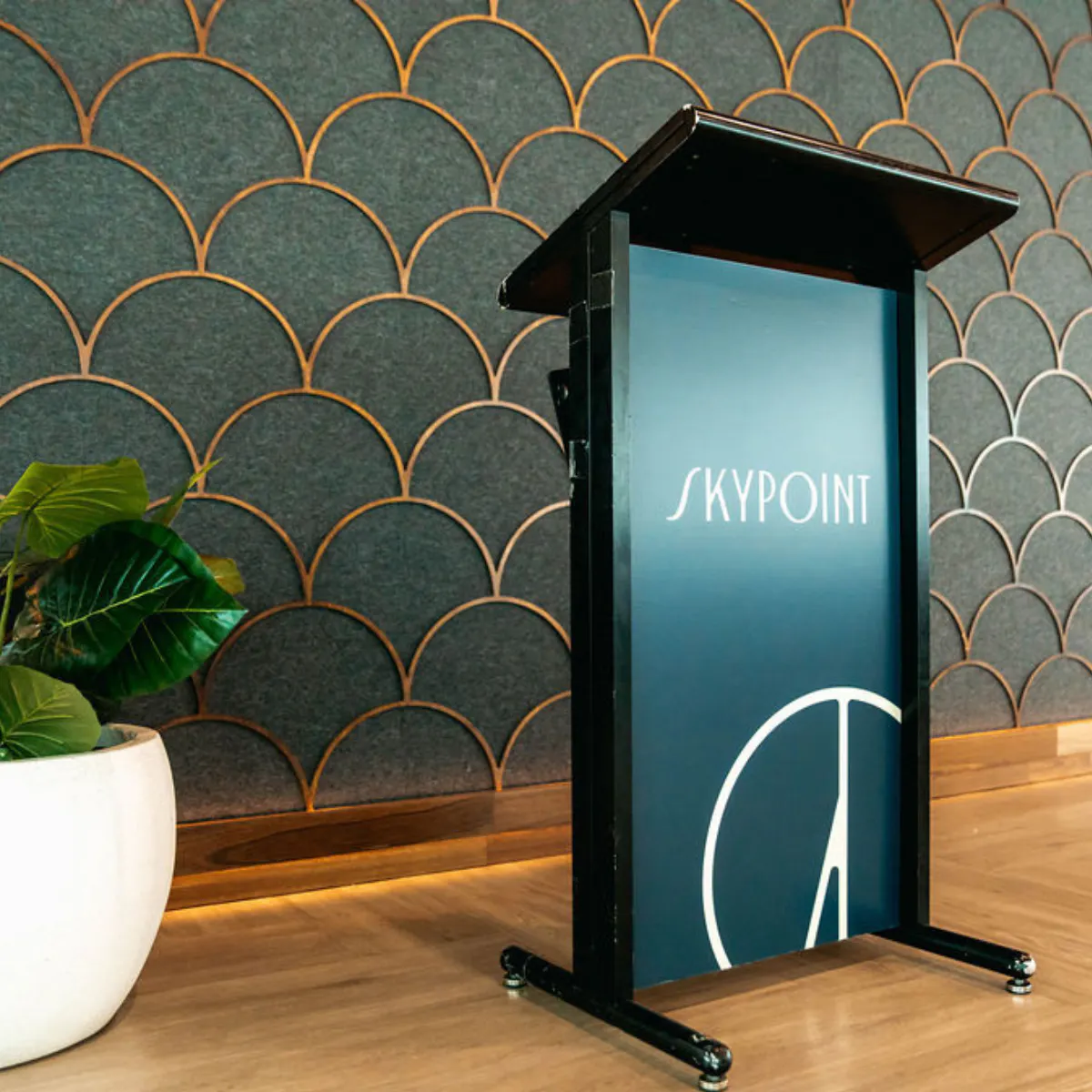 Functions | SkyPoint