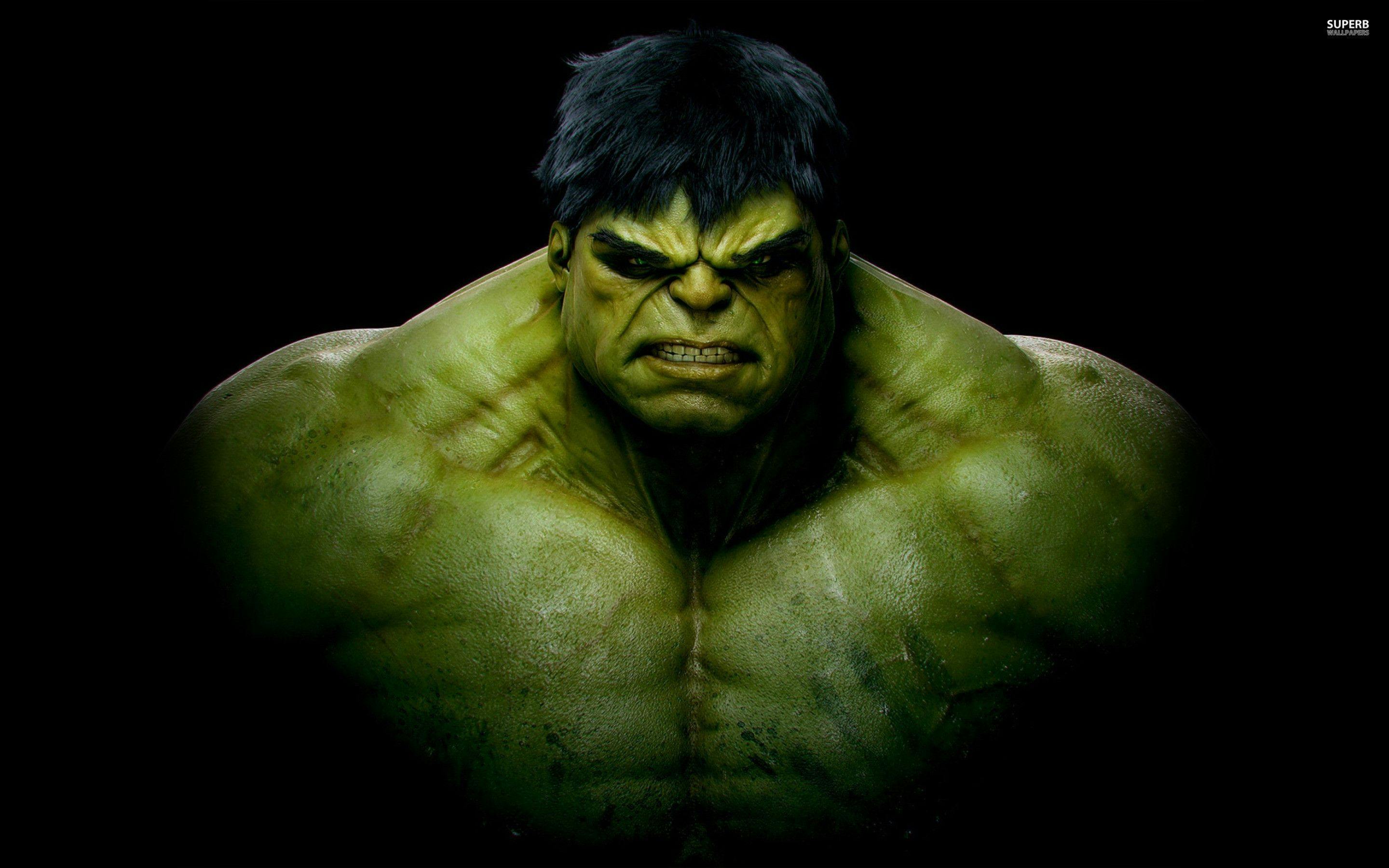 Bruce<br> <b>Hulk</b>