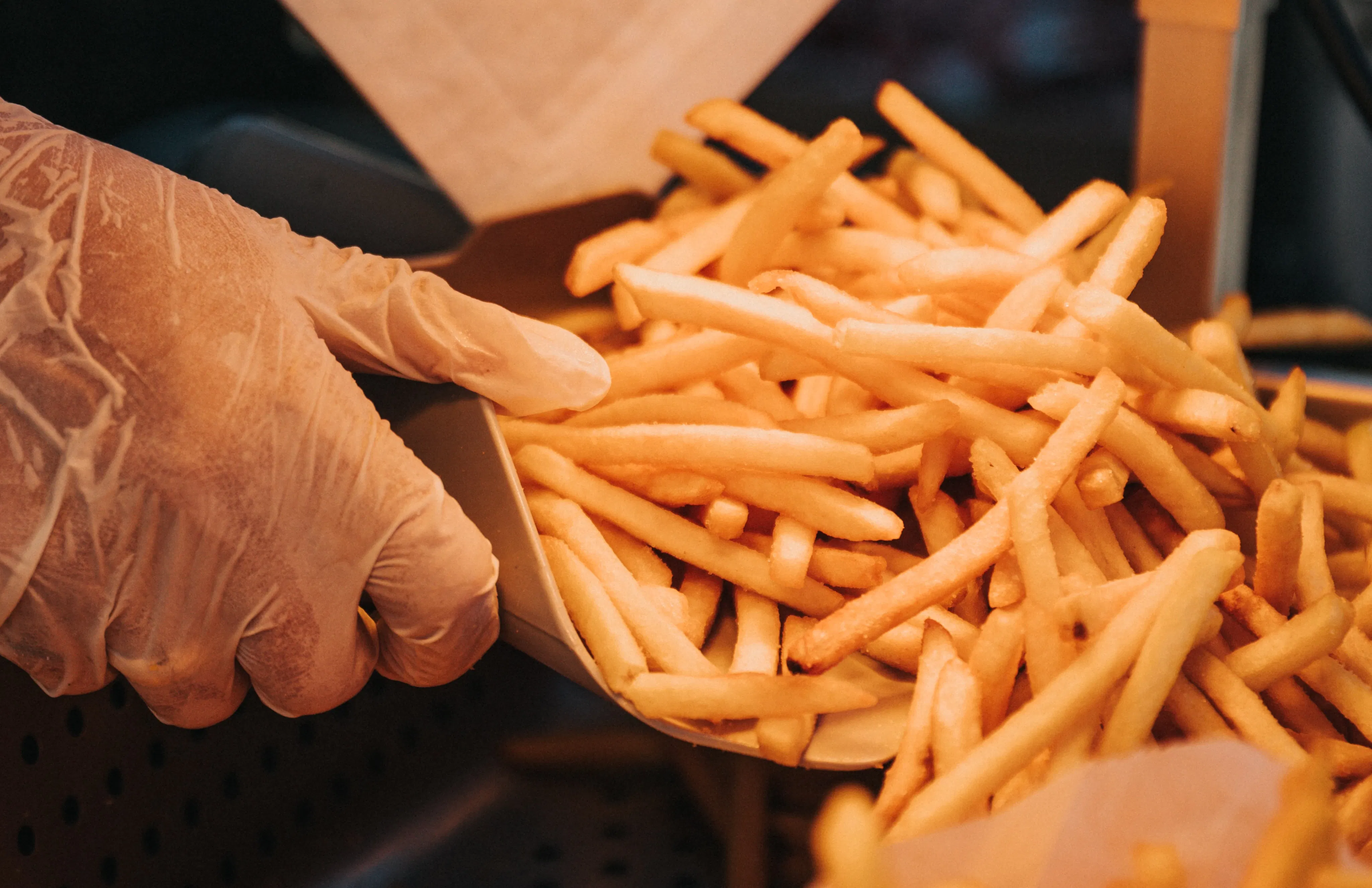 A meal from a french fries food truck.