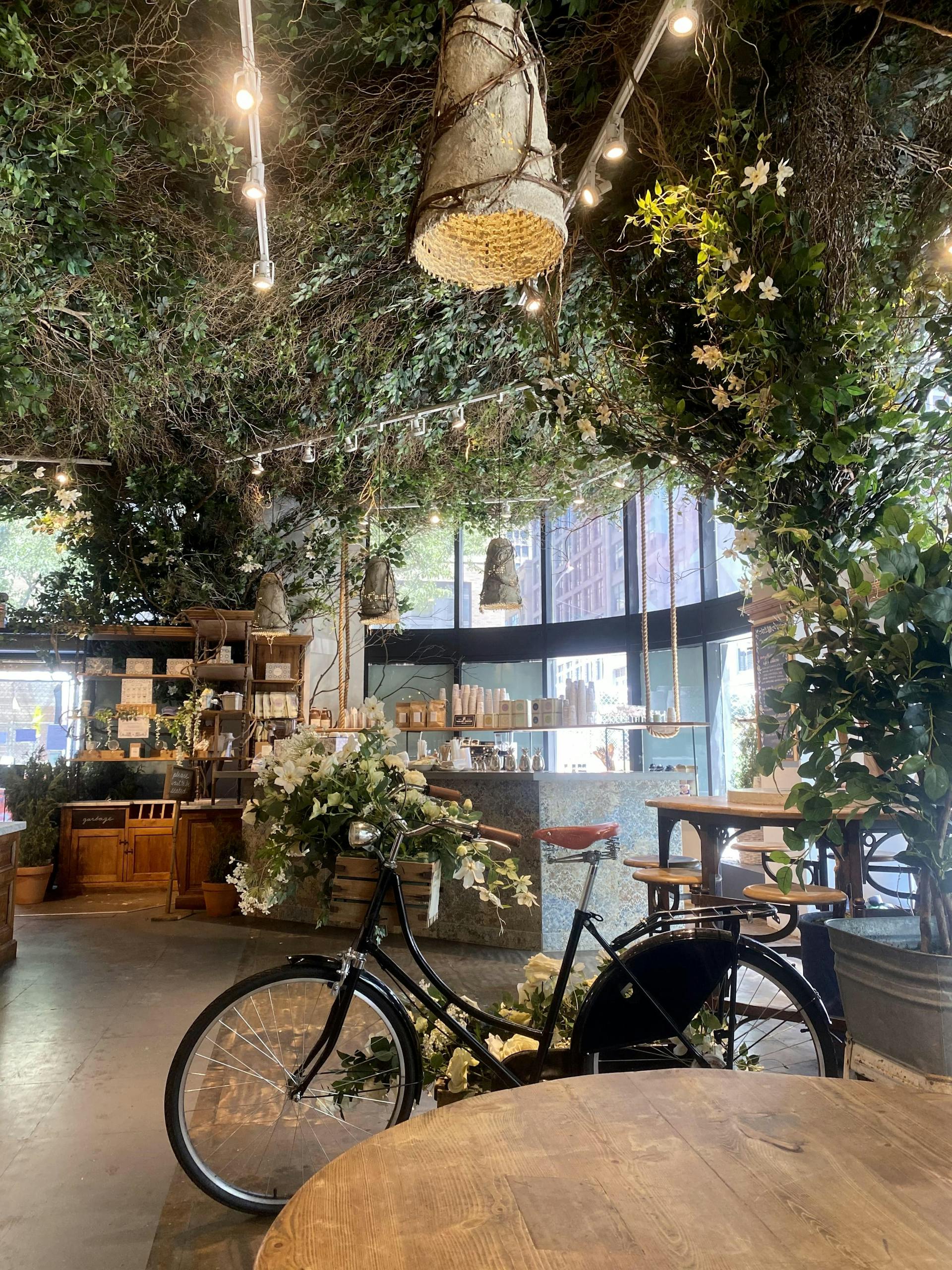 Coffee shop with open windows and plant decorations.