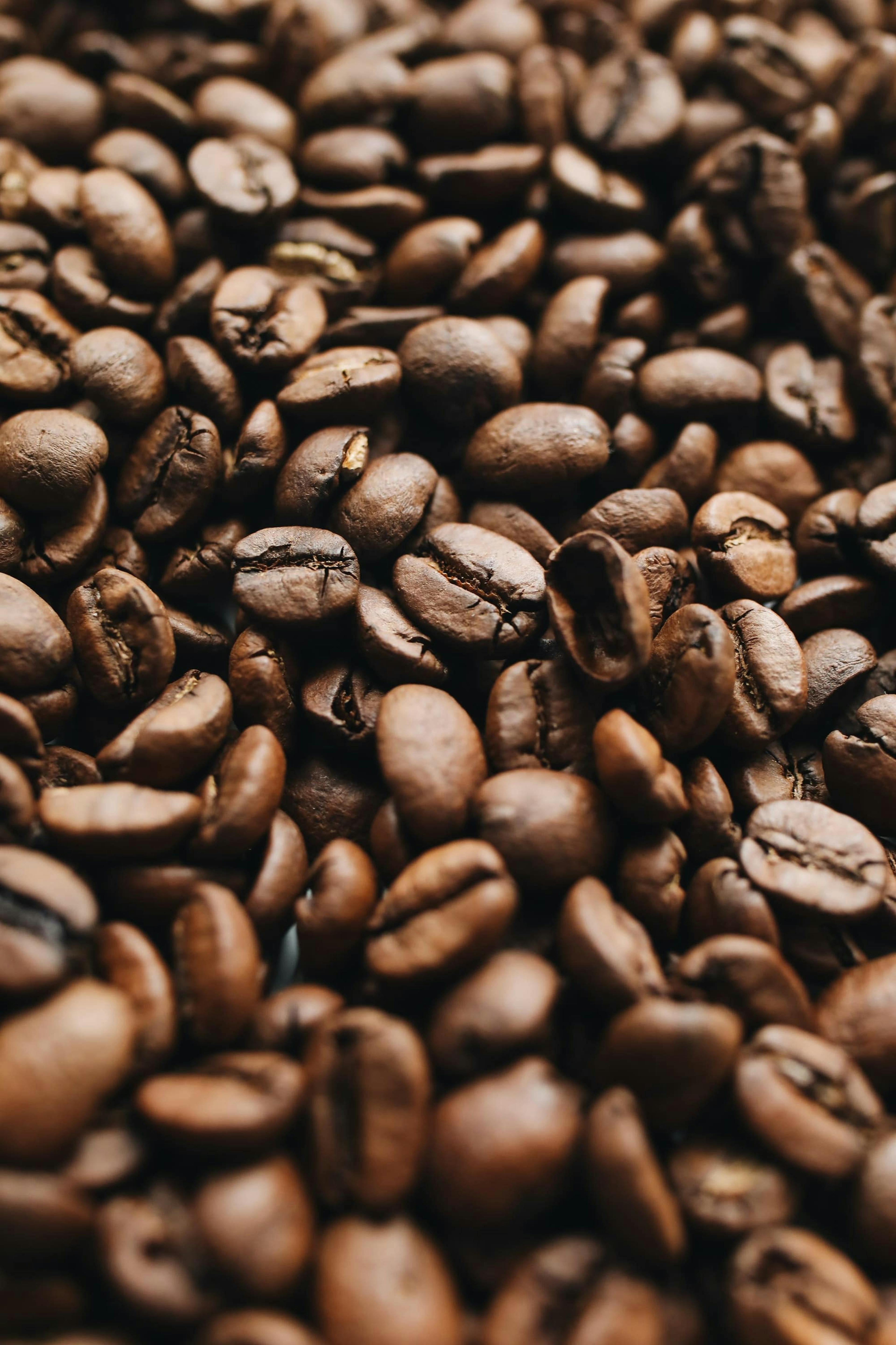 Photo of coffee beans.