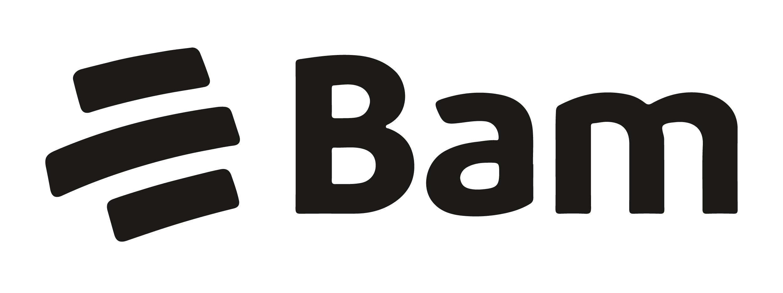 BAM logo