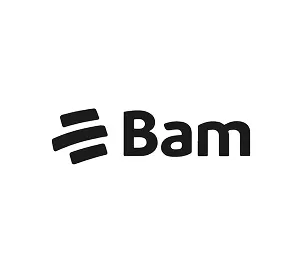 Bam logo