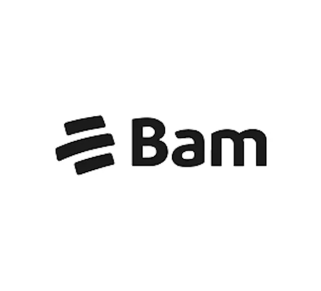 Bam logo