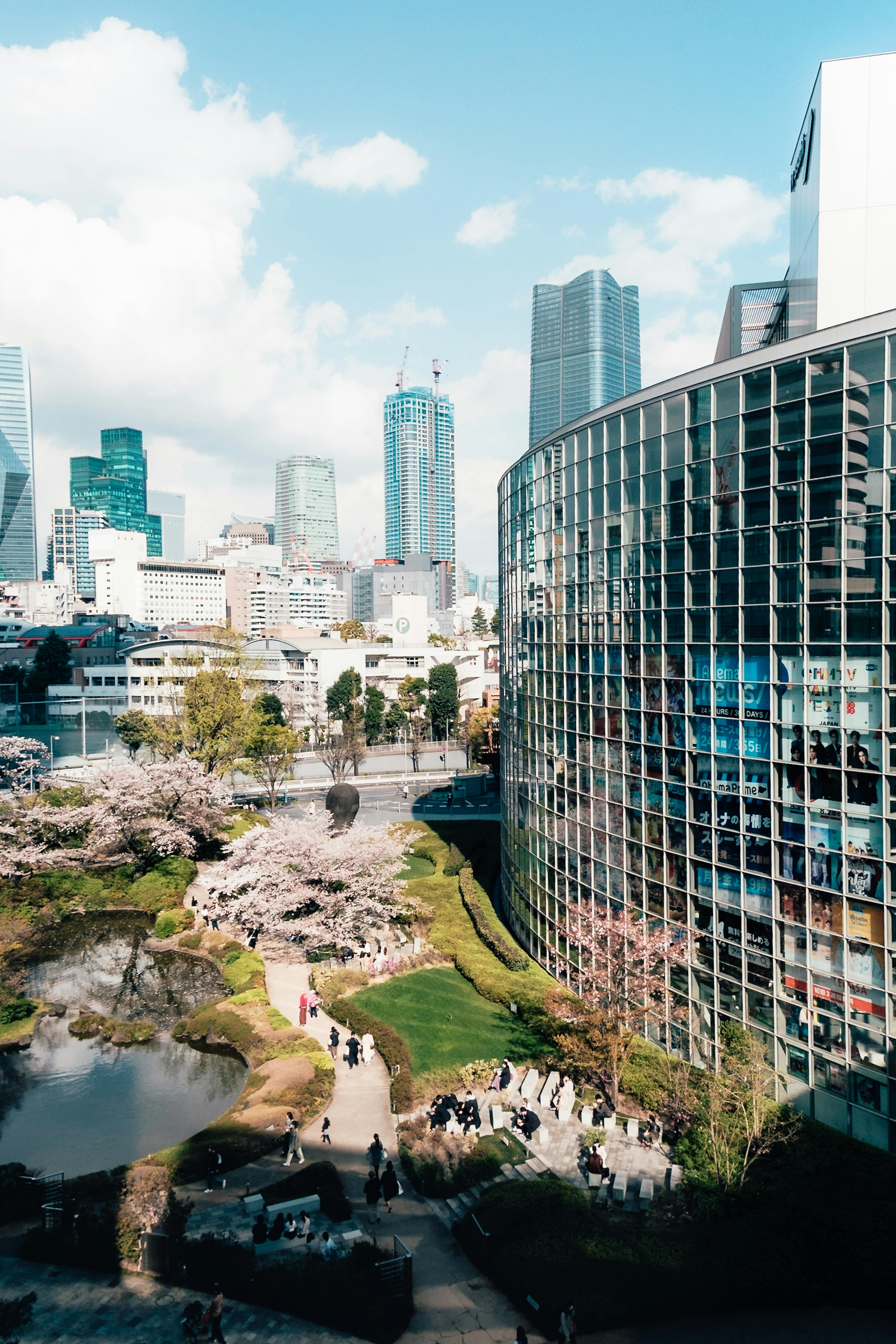 Curabitur blandit tempus porttitor.