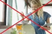 Préparer déménagement aquarium