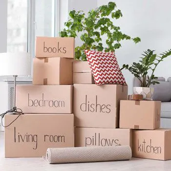 Faire un déménagement écologique, c’est possible !