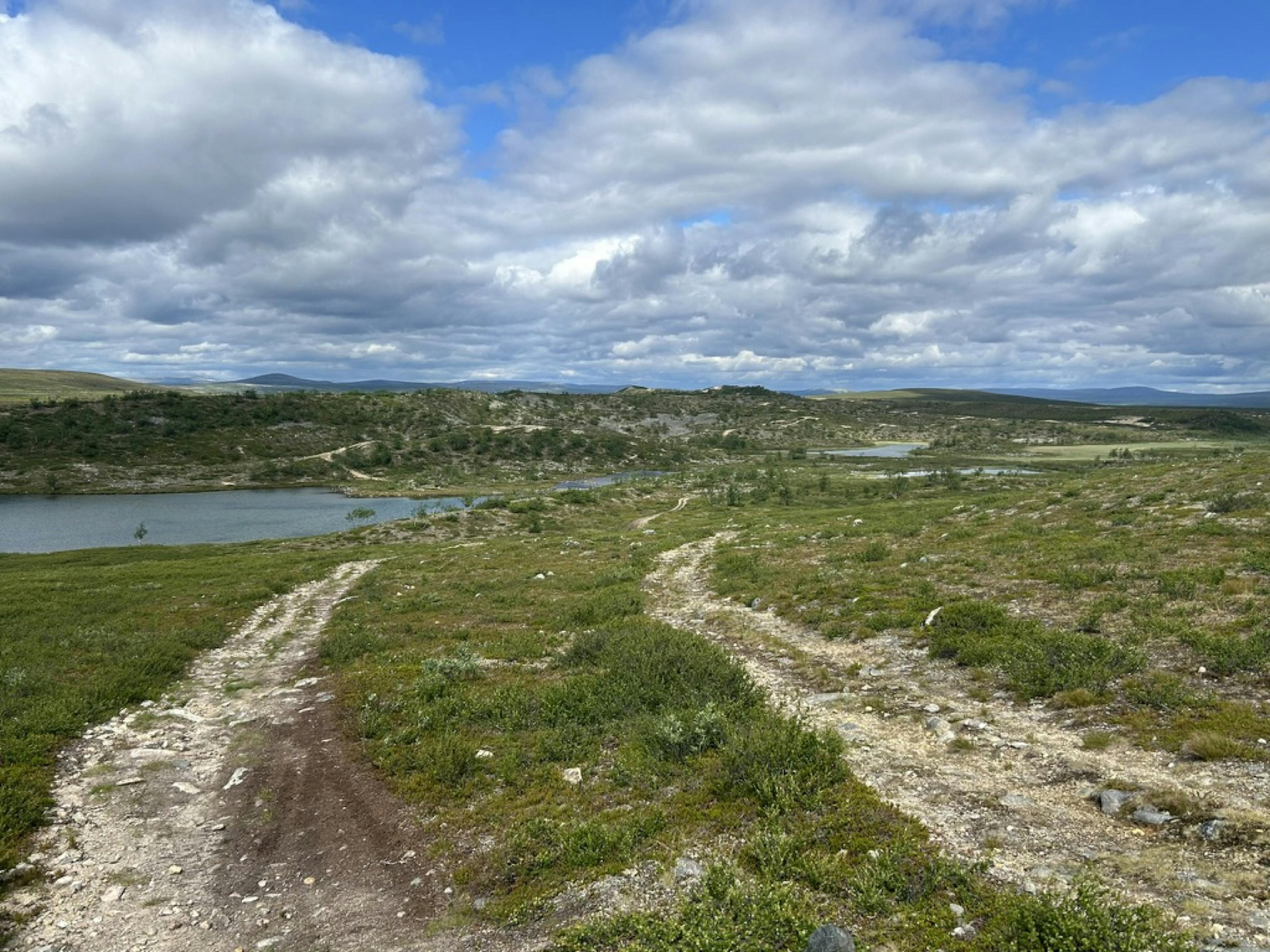 Beautiful and desolate Lappland