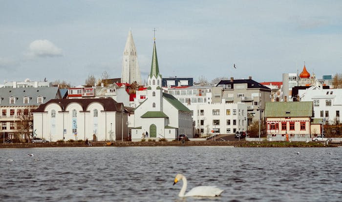 Útsýni af tjörninni í Reykjavík.