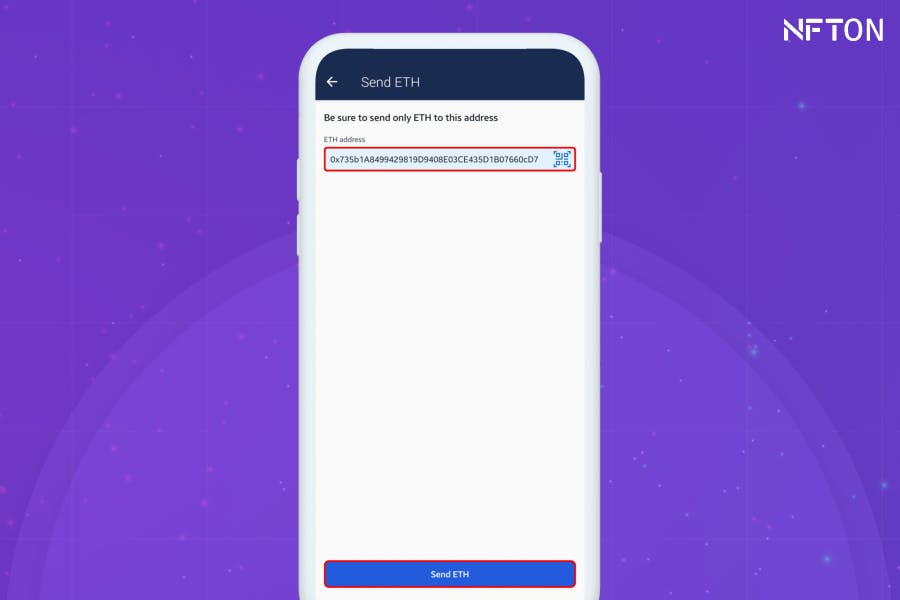 Enter your wallet address and other contact details