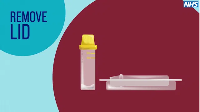 The Testing Process - HepC
