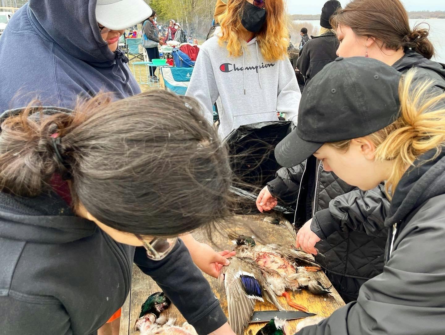 A group of young people wearing outdoor clothing gathers around a butcher's table to defeather a recently killed duck to make soup.