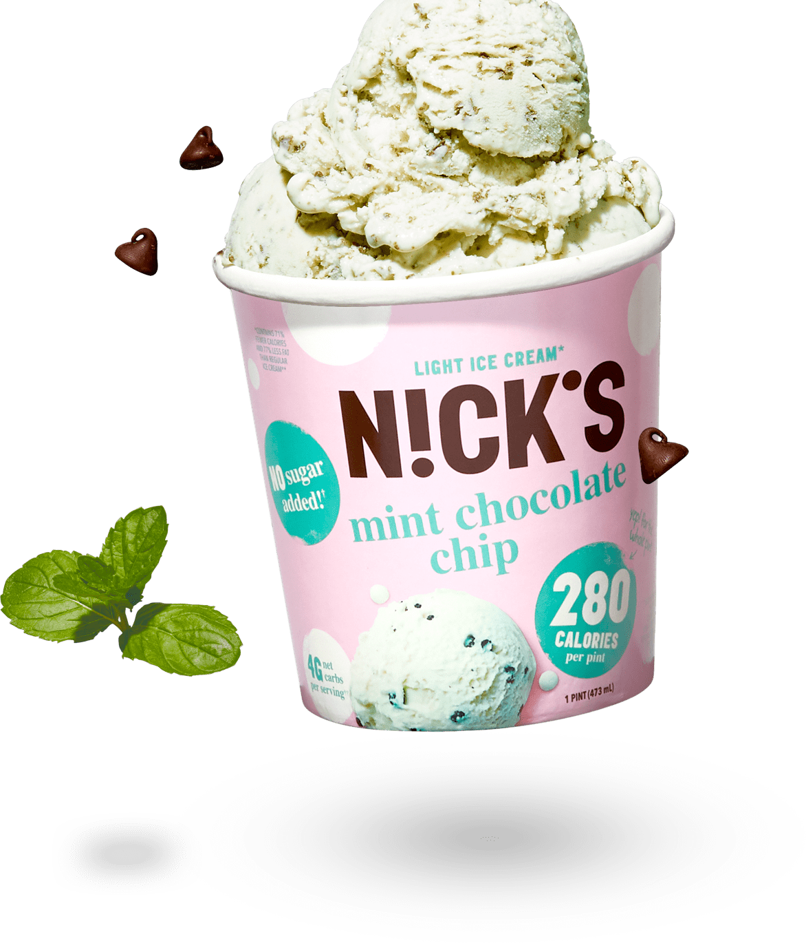 pint of mint chocolate chip ice cream