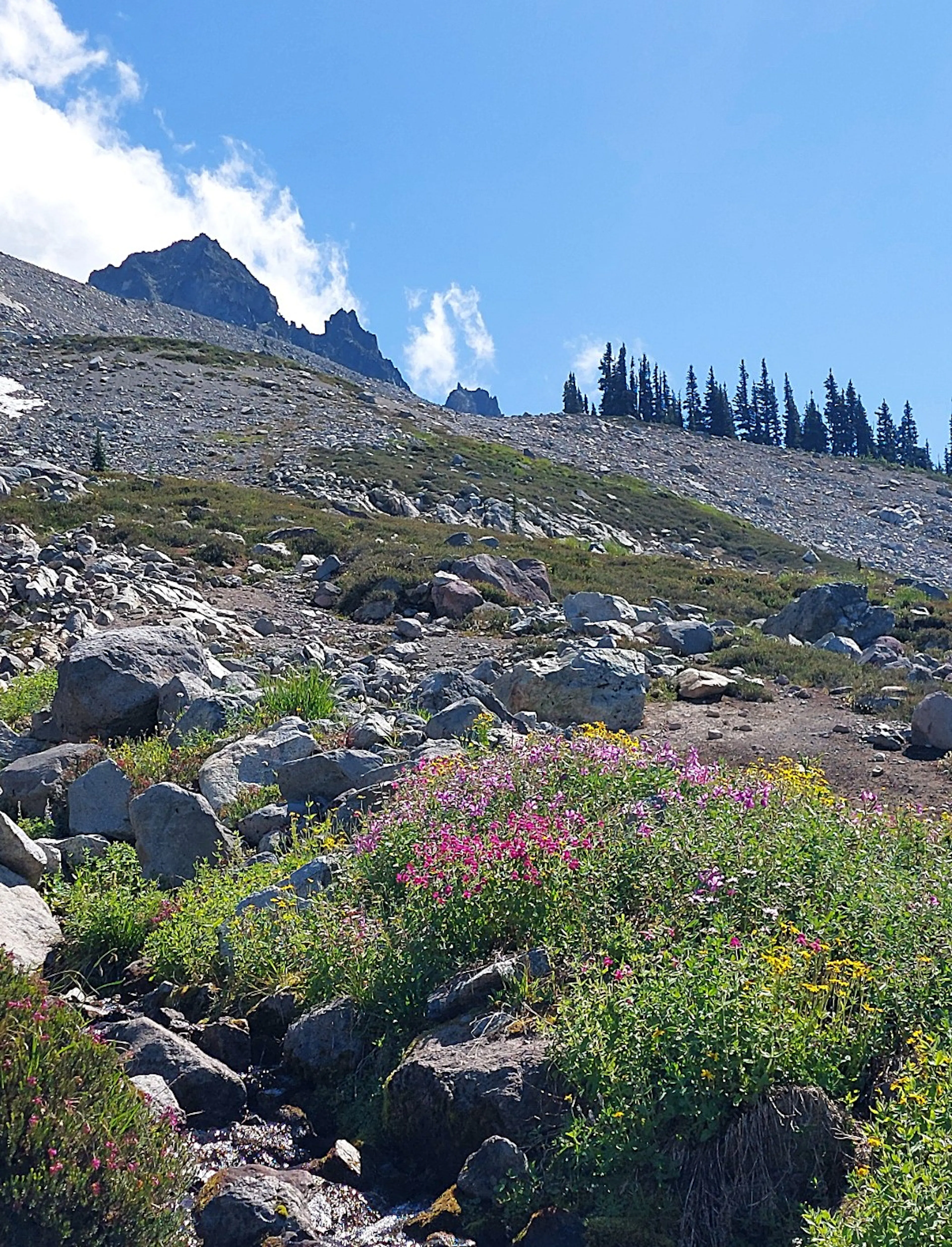 Photo of the should of Mt Fee