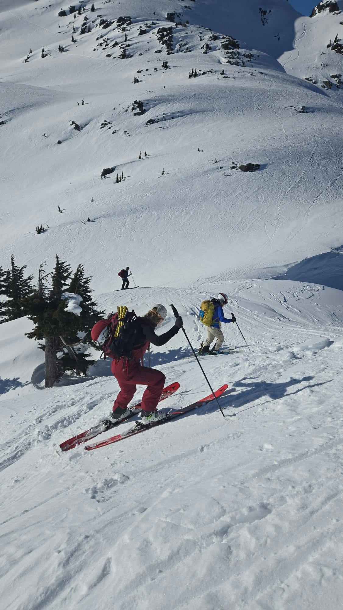 Sidehilling down Mt Ann