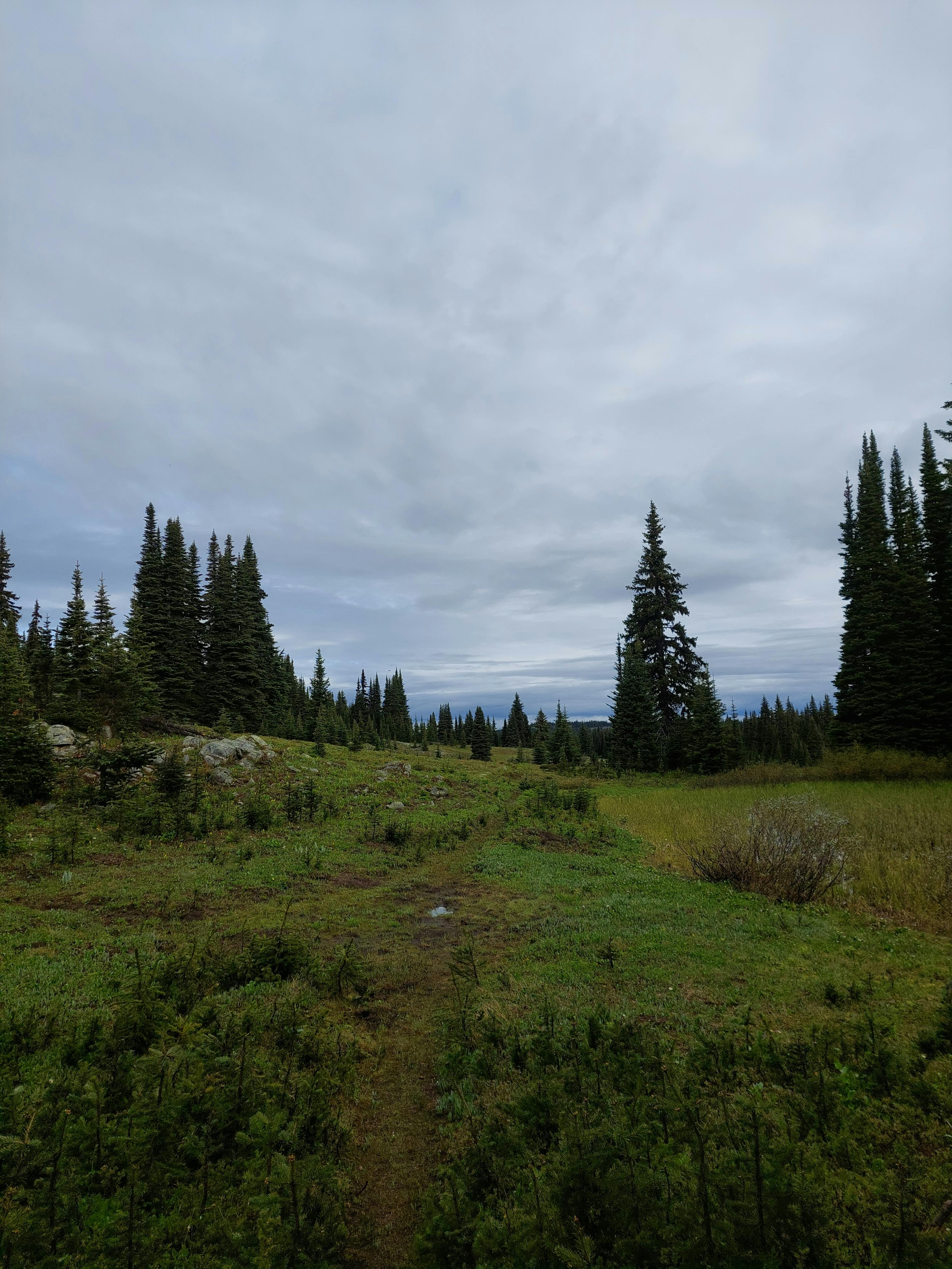 Hope Pass trail