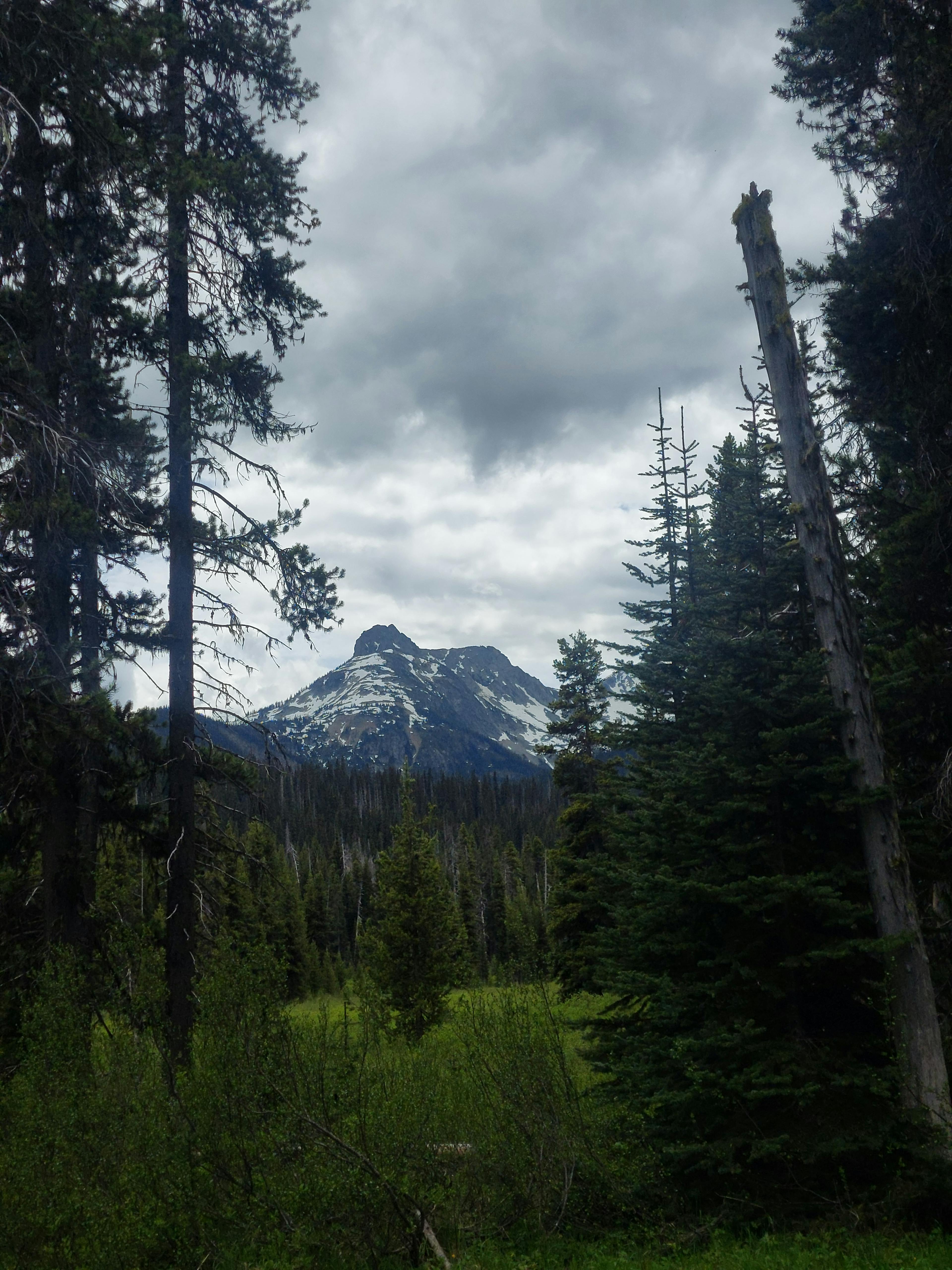 Peak (maybe Snass?) in Manning Park