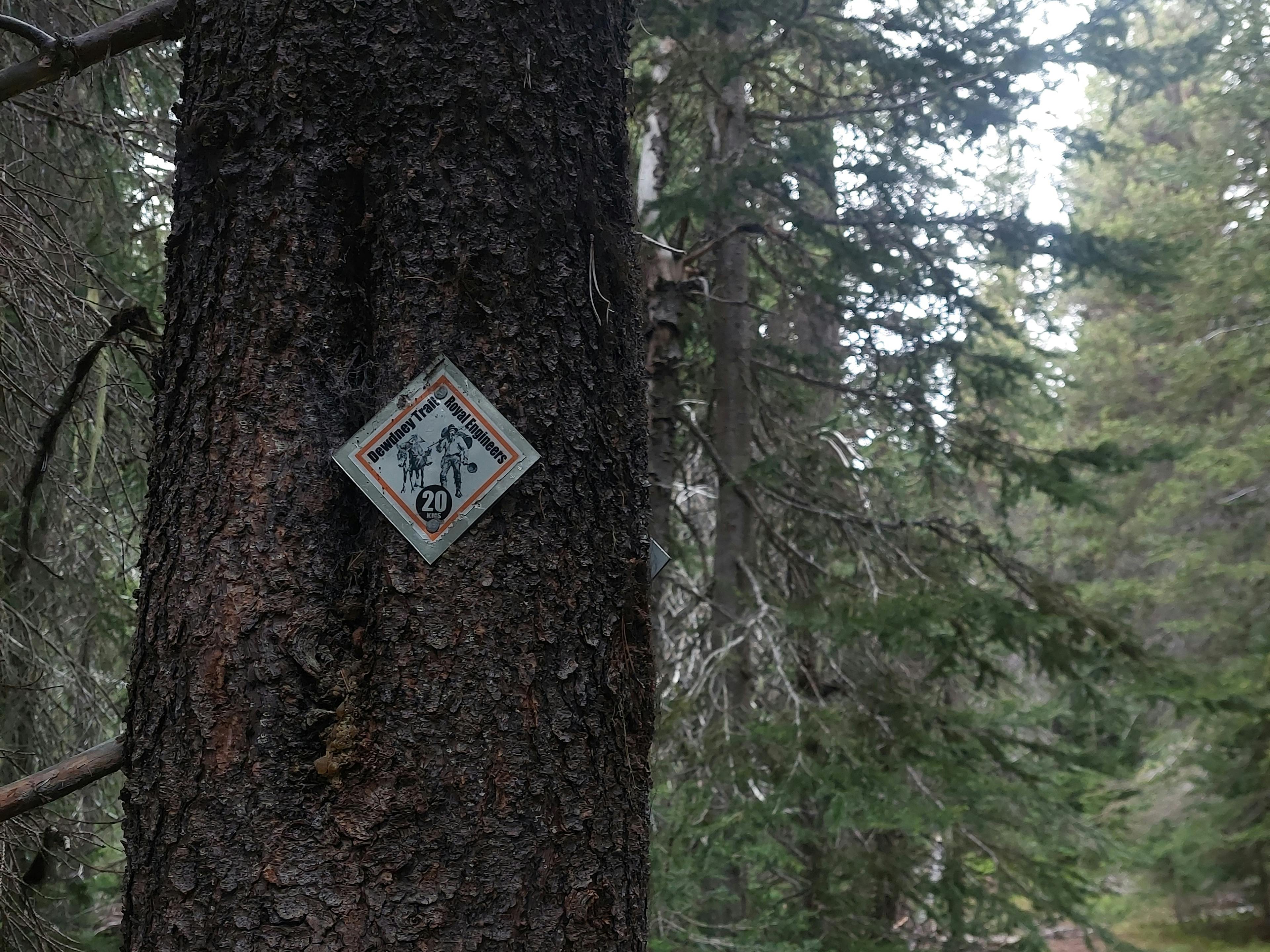 Badge of the Dewdney Trail